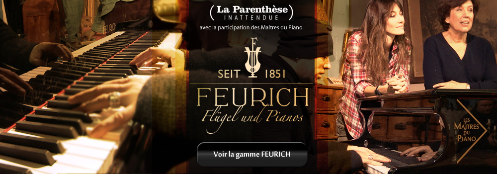 Pub Feurich 3