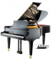 Cliquez pour agrandir <span>Seiler</span> 208 Professional