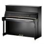 Cliquez pour agrandir <span>Bechstein</span> B-120 SELECT NL