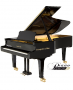 <span>Steingraeber</span> D 232