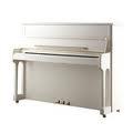 Forster August 116E  Blanc brillant