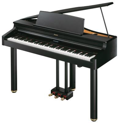 Roland RG-1F-SB