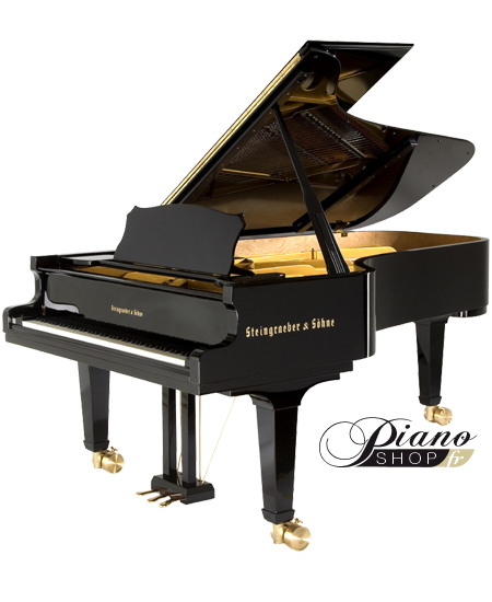 Steingraeber D 232