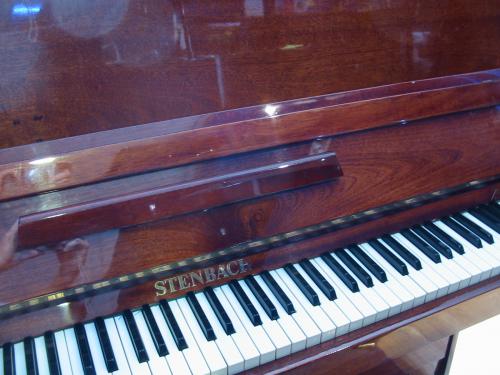 Steinbach 120 Acajou brillant occasion