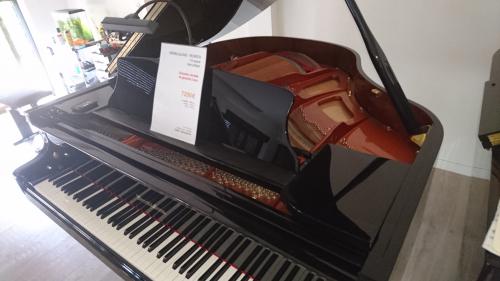 Cliquez pour agrandir Wendl & Lung PROFESSIONNEL 161 occasion