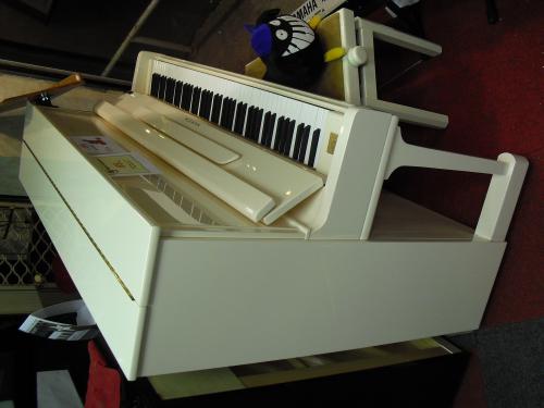 Samick JS121 occasion